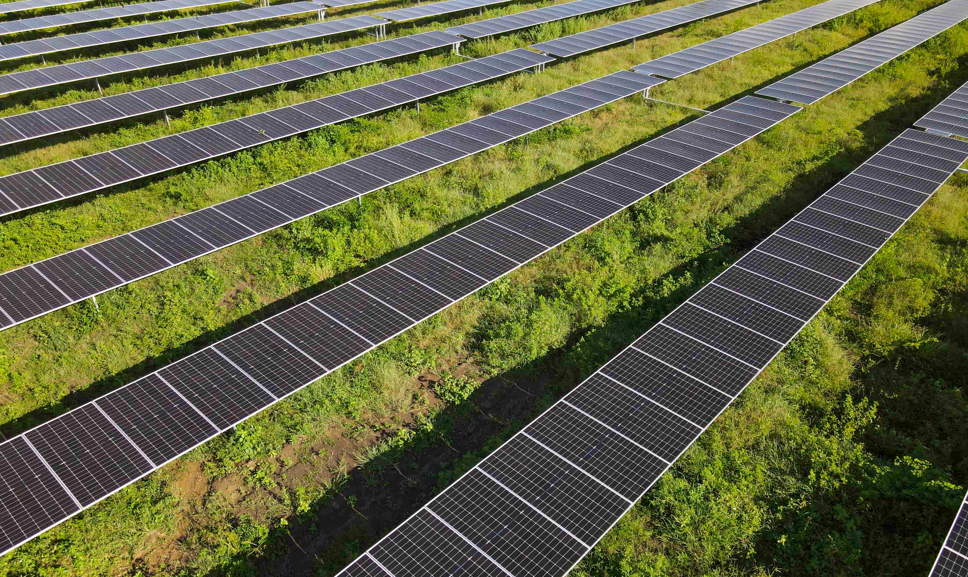 Solar photovoltaic plant built by Enerland