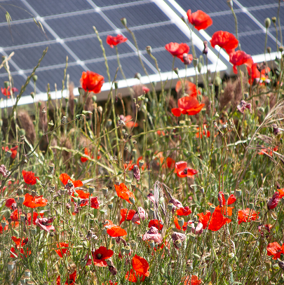 Impianto energetico accanto all'ambiente naturale