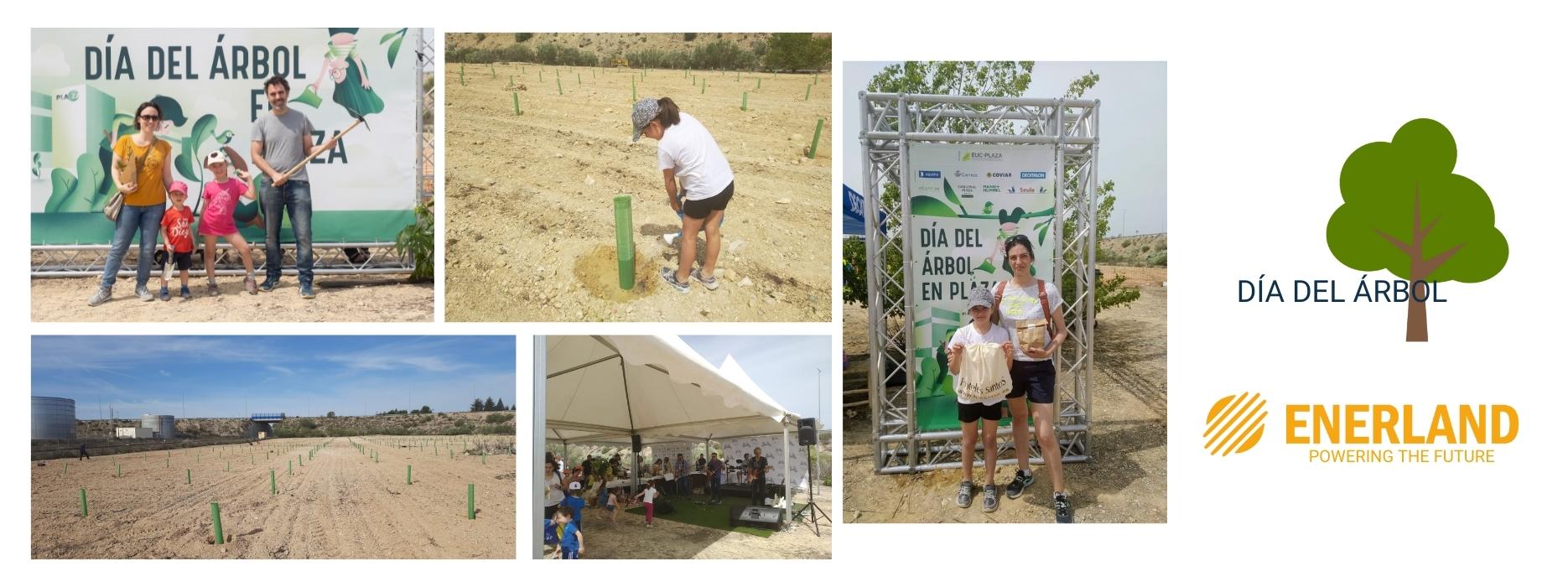 Enerland partecipa alla Giornata dell'Albero