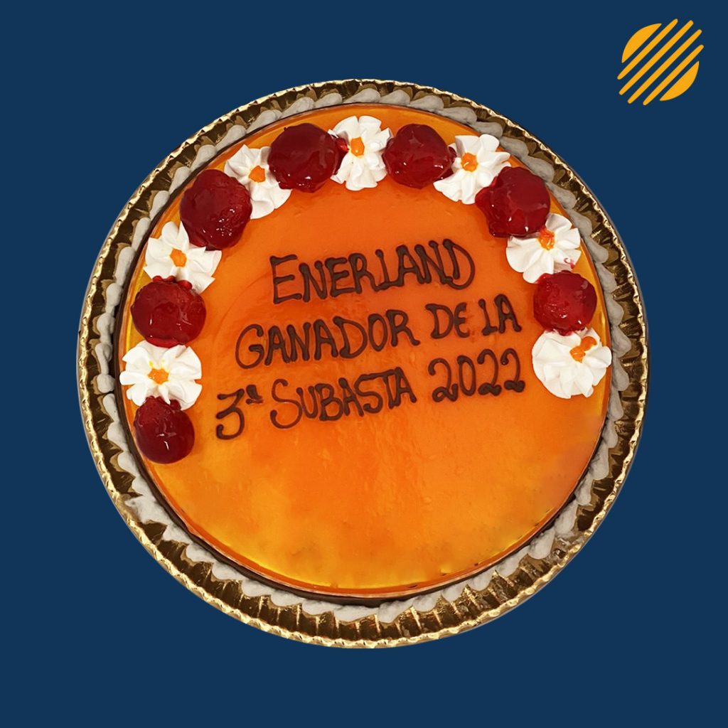 Enerland celebra la subasta