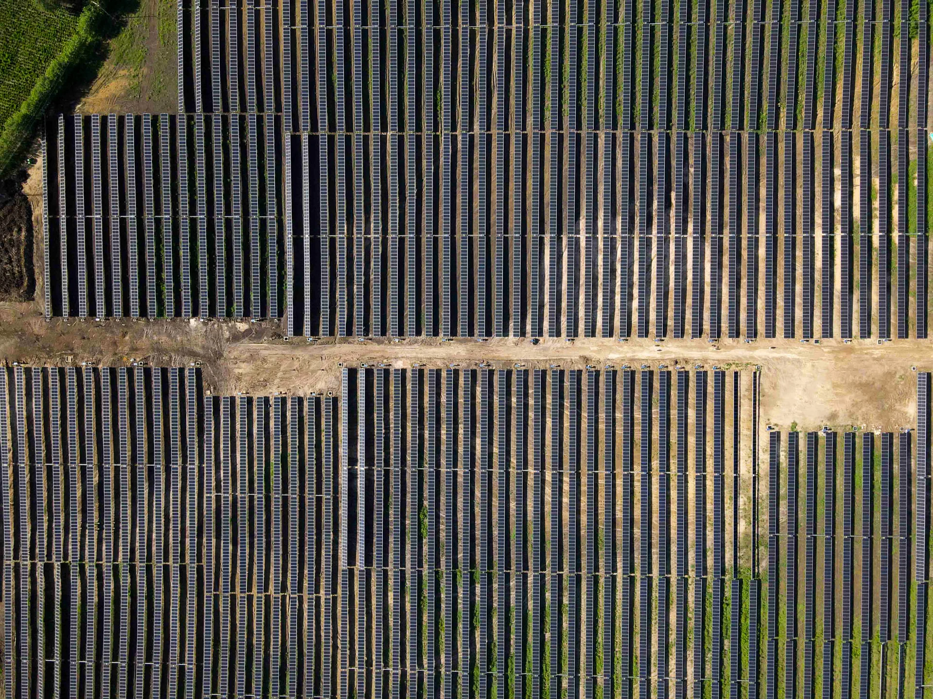Tierra Linda: project image 6