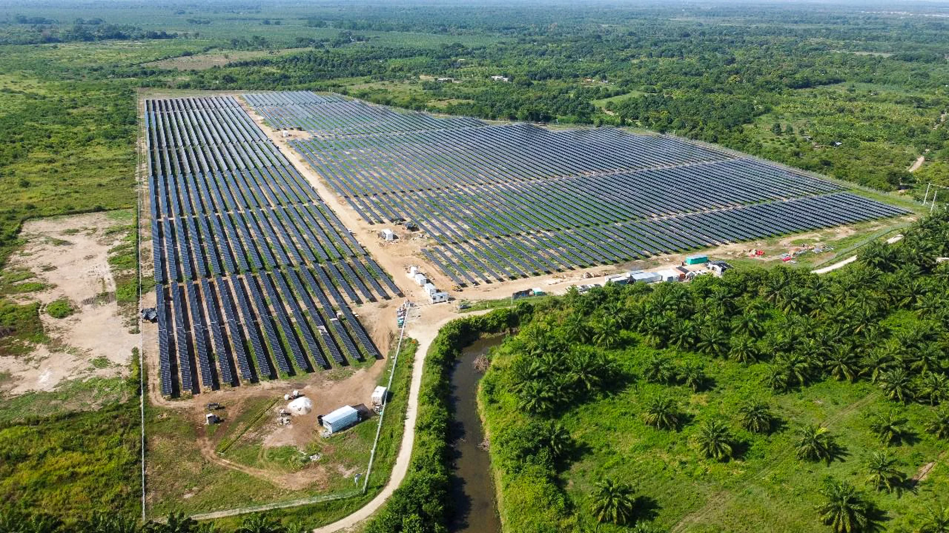 Caimán Cienaguero: imagen 1 del proyecto