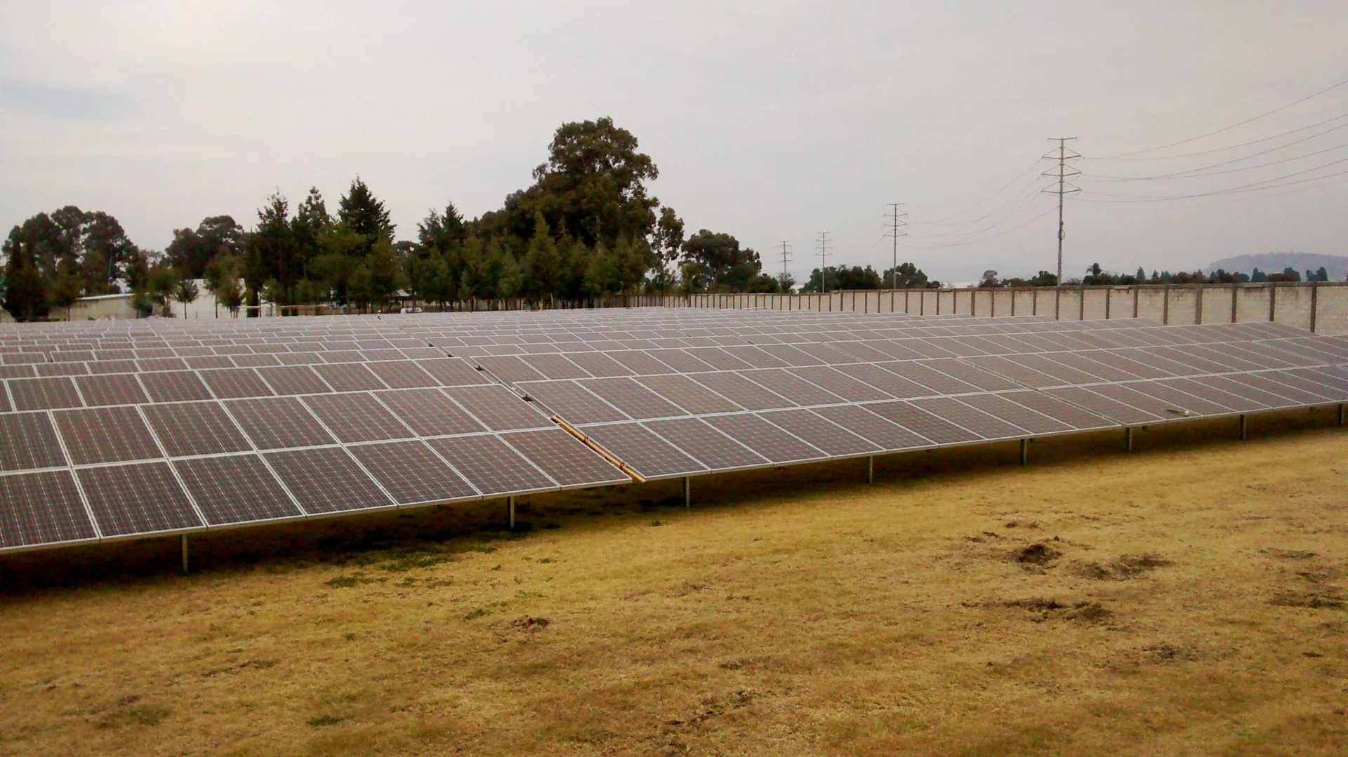 Janssen: imagen 2 del proyecto