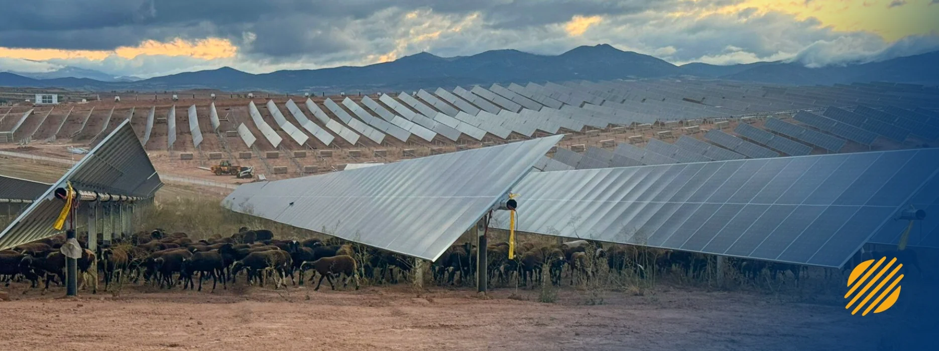 Pastoreo solar: una alianza entre campo y energía