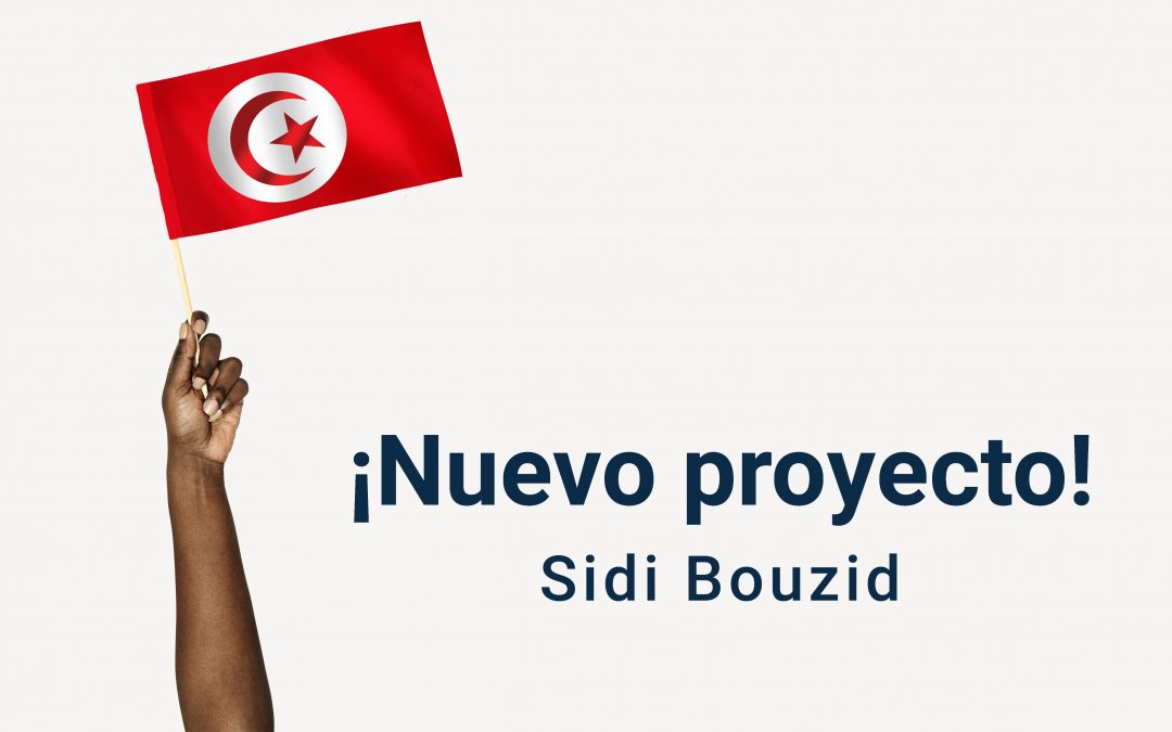 Nuevo proyecto fotovoltaico en Túnez