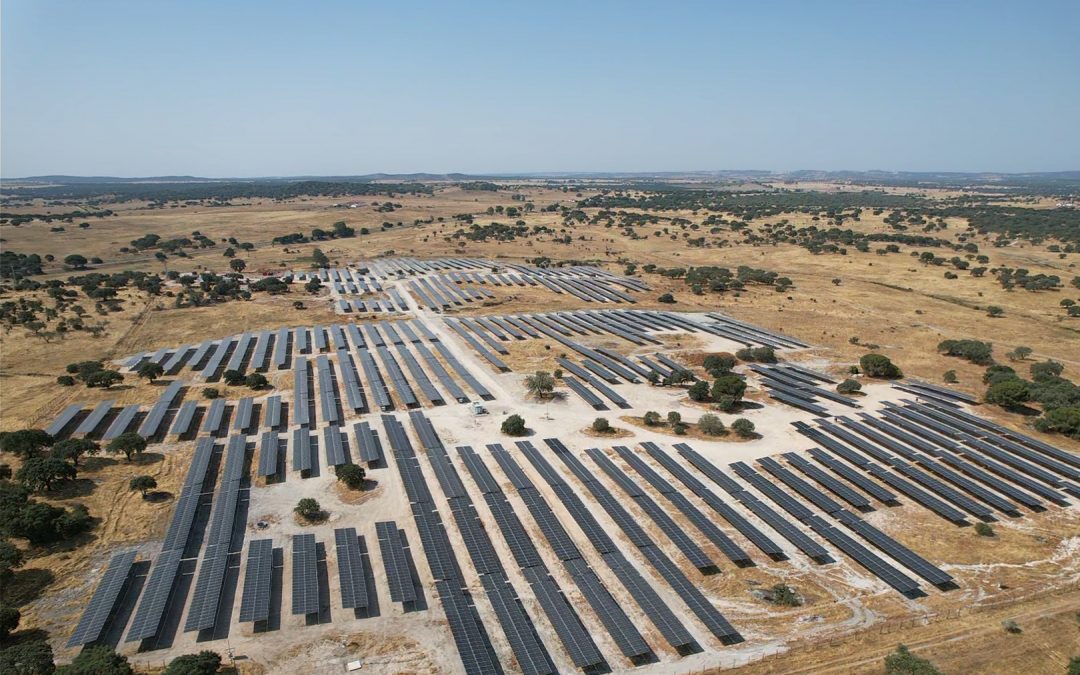 2025 – Aldeia da Serra